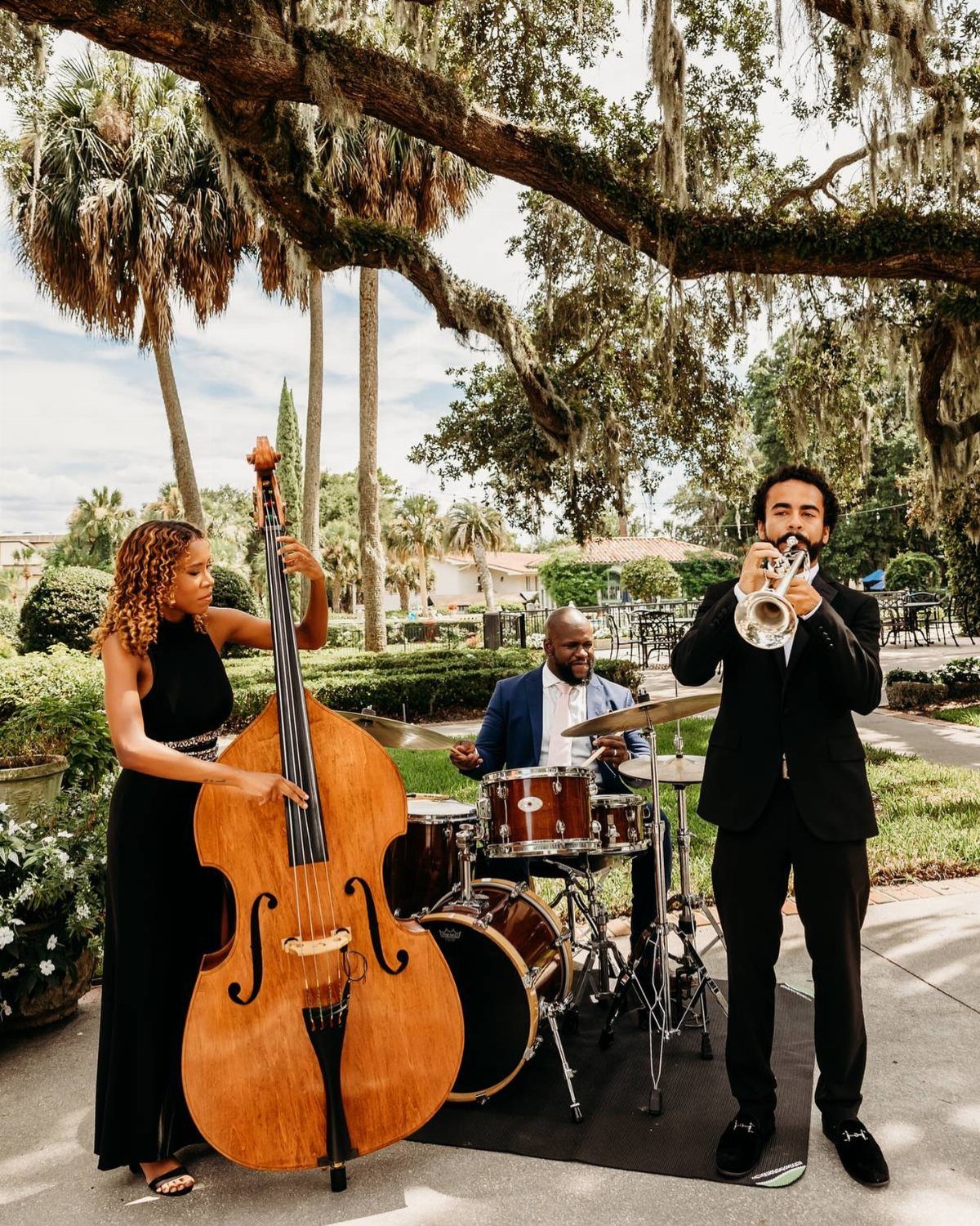 Jazz trio with double bass, drums, and trumpet performing outdoors under oak trees.
